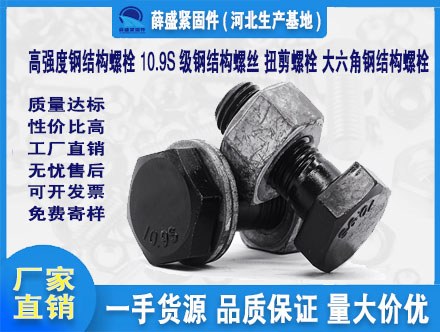 高強(qiáng)度鋼結(jié)構(gòu)螺栓 10.9S級鋼結(jié)構(gòu)螺絲 扭剪螺栓 大六角鋼結(jié)構(gòu)螺栓